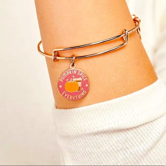 SALE! NWT, Alex & Ani, Pumpkin Spice Charm, Expandable Bracelet - Picture 2 of 3